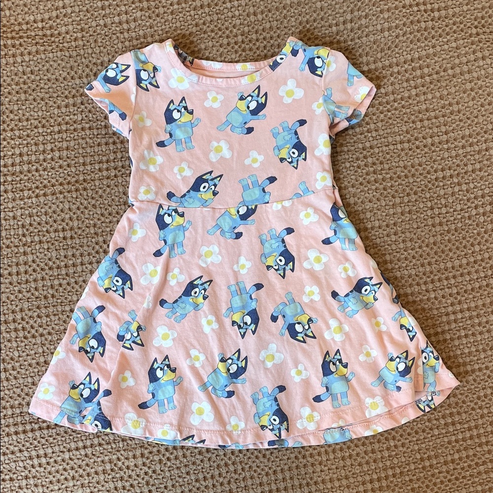 Peachy Pink Bluey Dress with Flowers